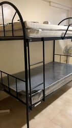 Hougang Avenue 2 (Hougang),  #449334011